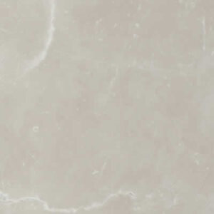 Olimpus Gri F051 PS80