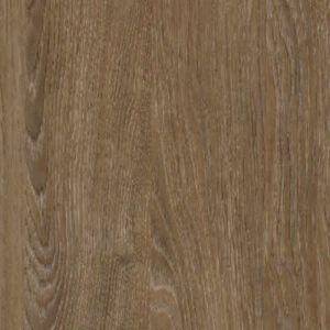 Canterbury hrast A805