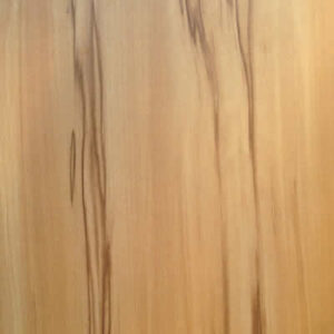 Corvara Beech A846 PS11