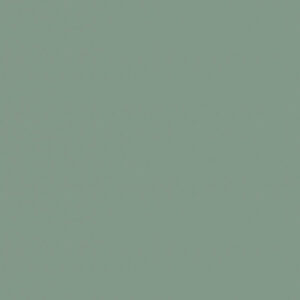 Soft Touch Mint P010